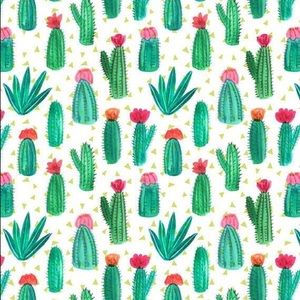 Meet your Posher, Yadira